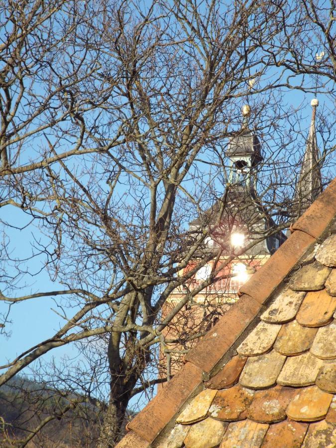 Ferienwohnung Mittendrin Neustadt an der Weinstrasse Bagian luar foto