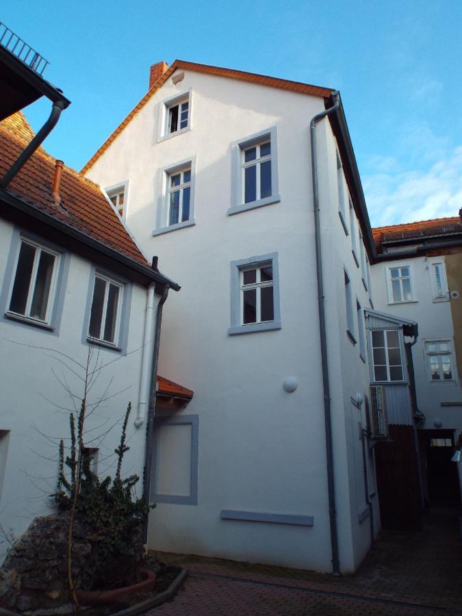 Ferienwohnung Mittendrin Neustadt an der Weinstrasse Bagian luar foto