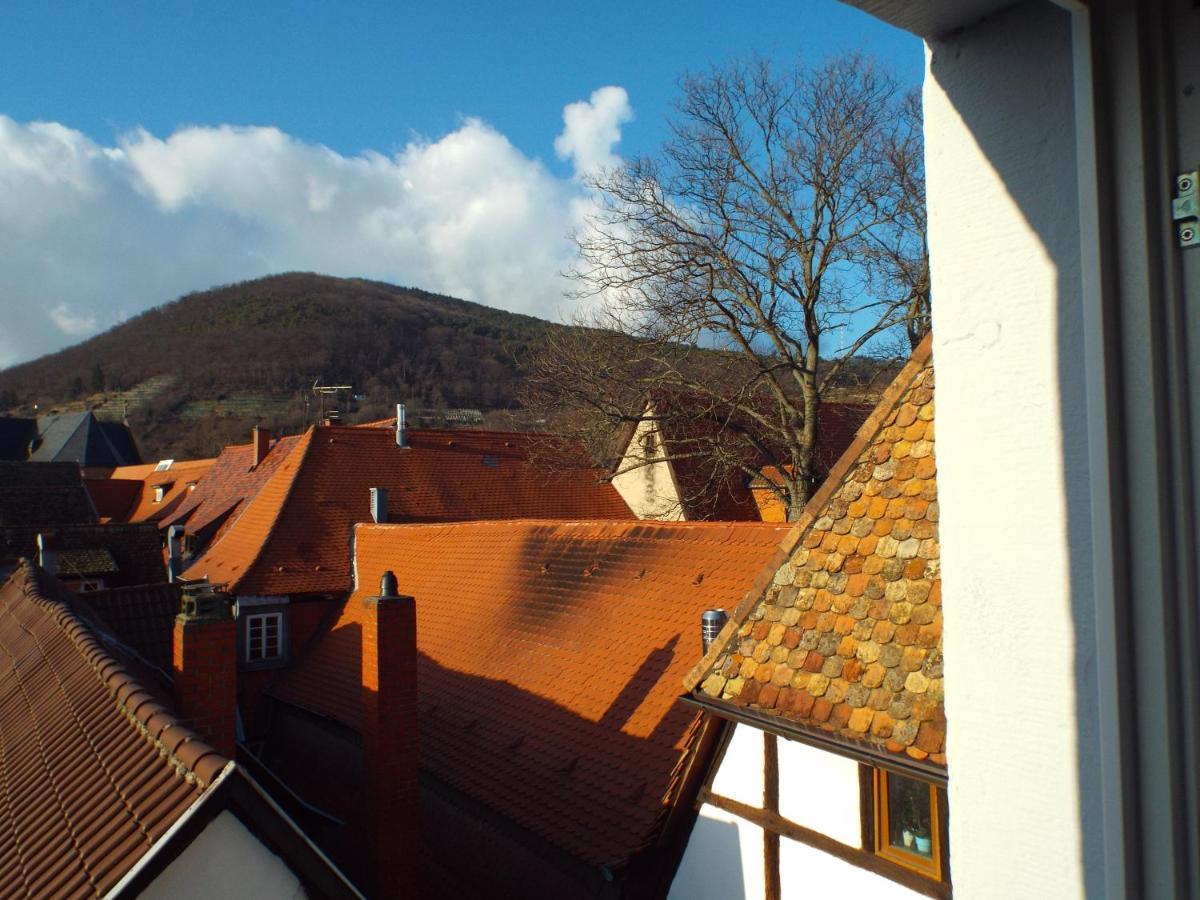 Ferienwohnung Mittendrin Neustadt an der Weinstrasse Bagian luar foto